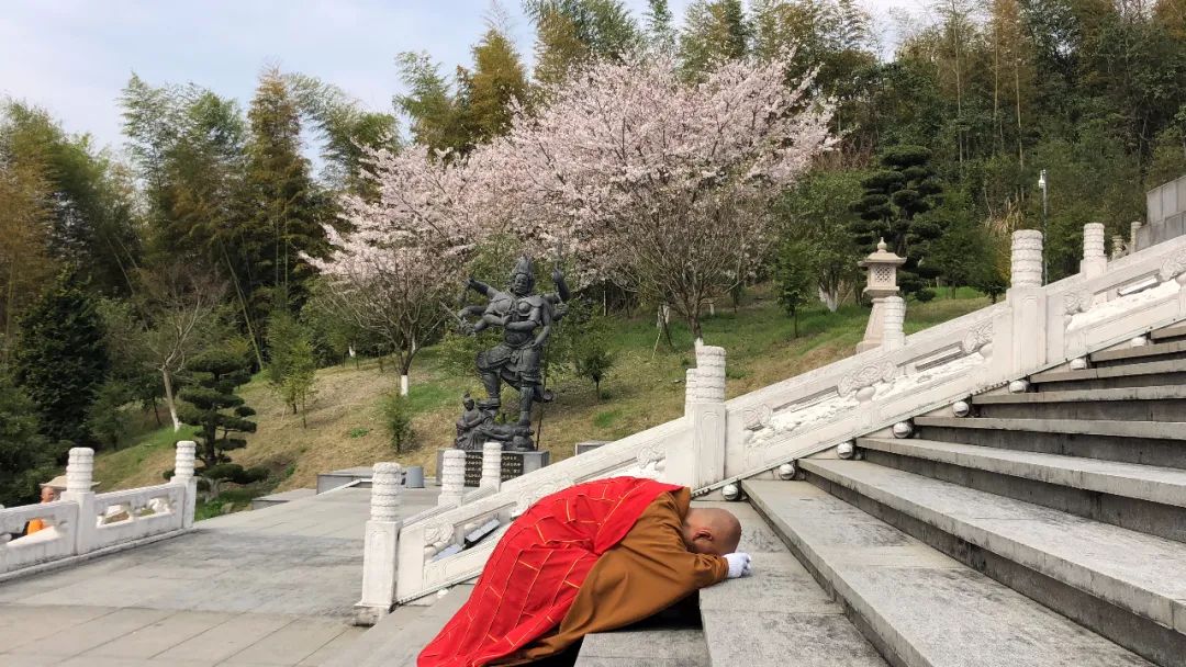 48个镜头——带我们重温2020·雪窦寺