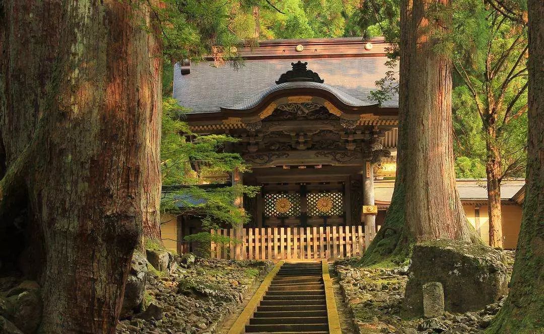 台风侵袭下屹立的天童禅寺 居然有这么多有趣的历史