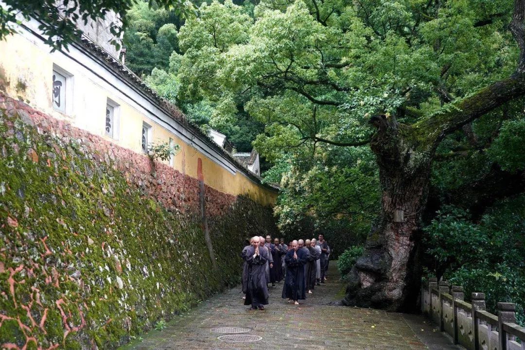 台风侵袭下屹立的天童禅寺 居然有这么多有趣的历史