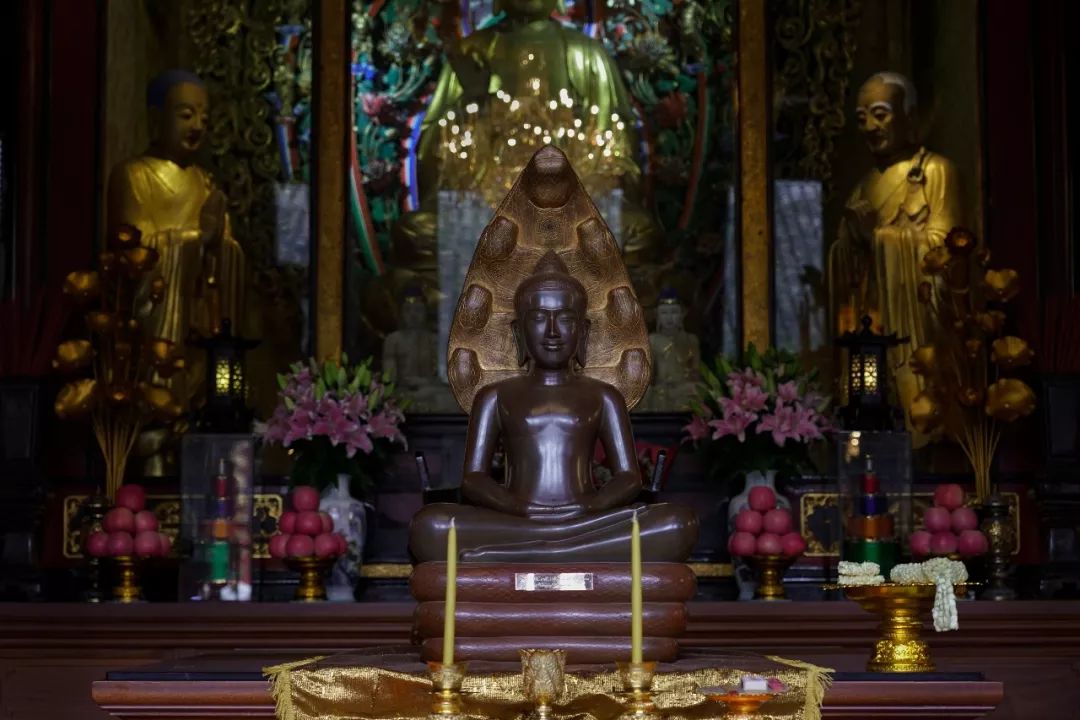 柬埔寨国王西哈莫尼访问成都文殊院
