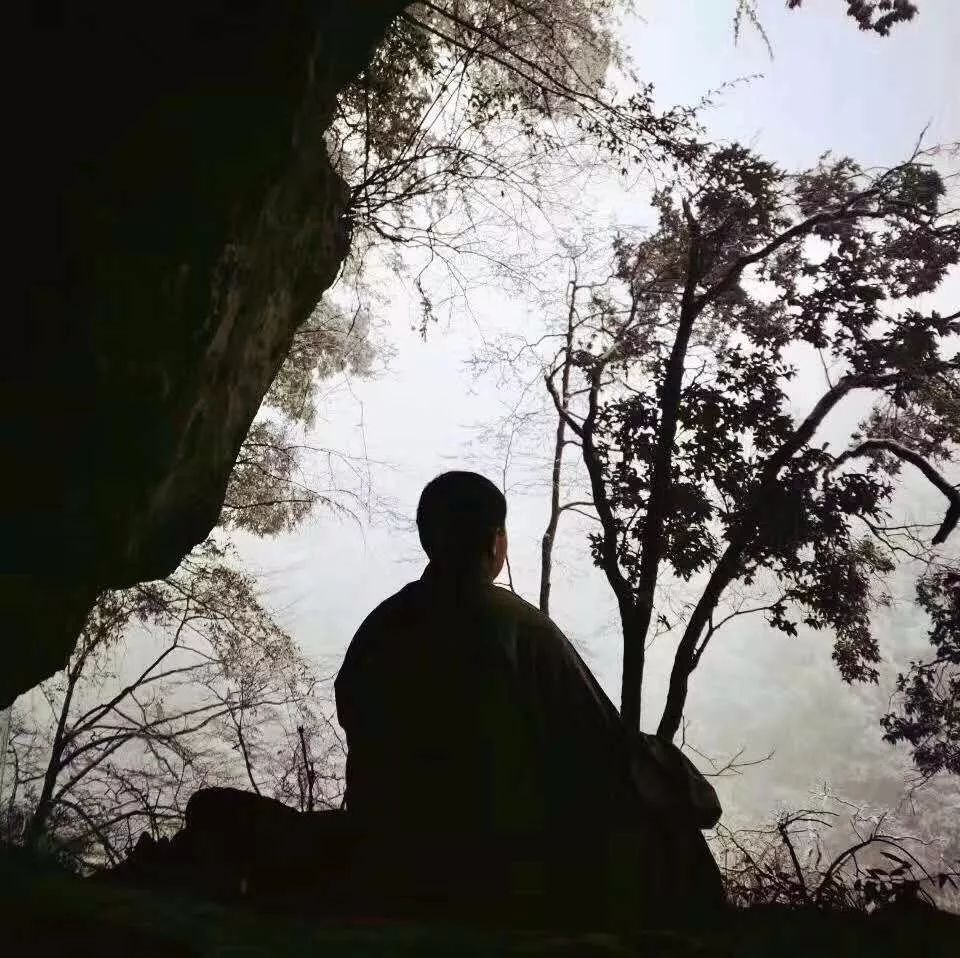 闭关三年！重庆华岩寺方丈道坚大和尚出关集锦