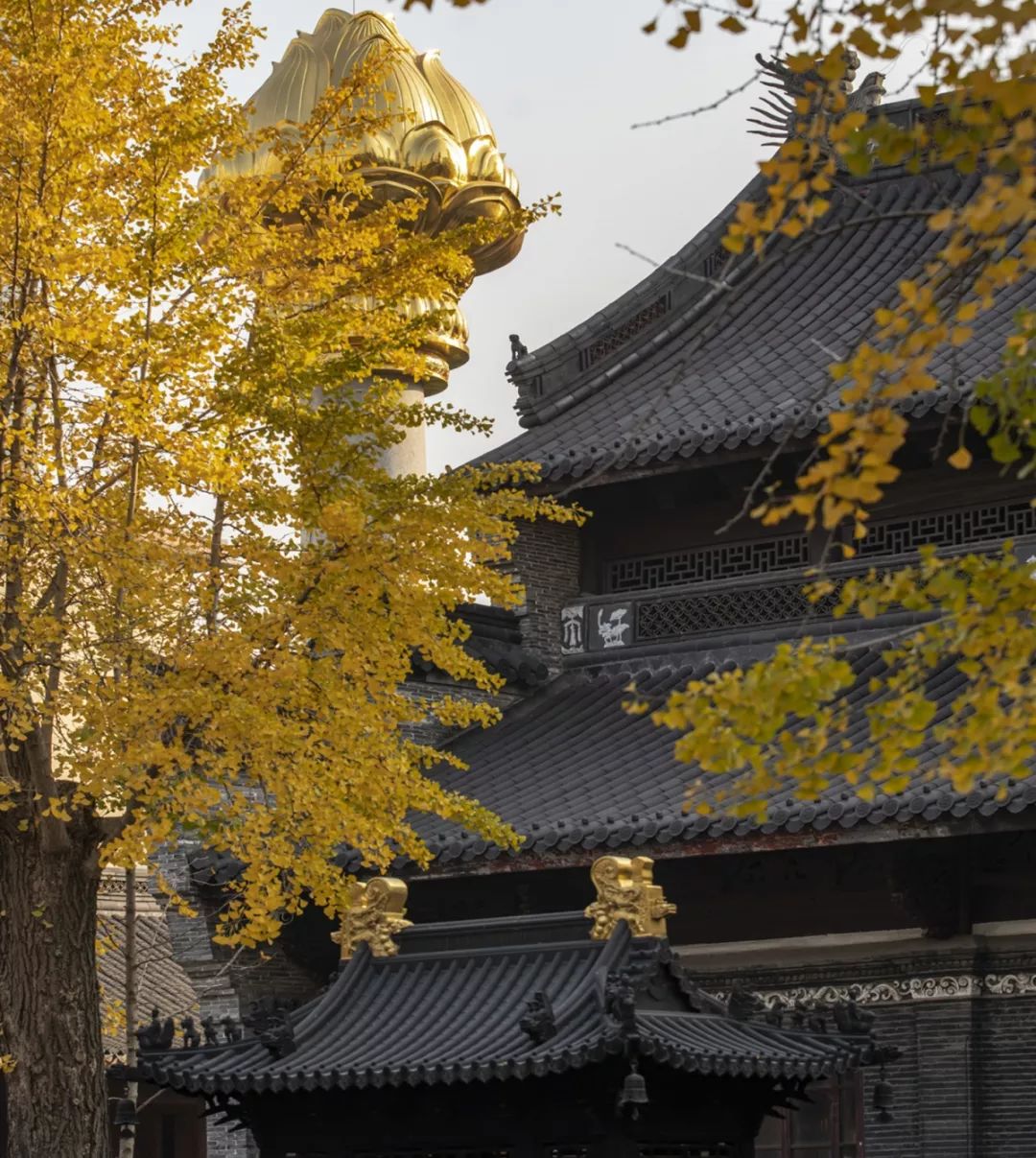 宁波七塔禅寺捐出各类医用口罩8000个