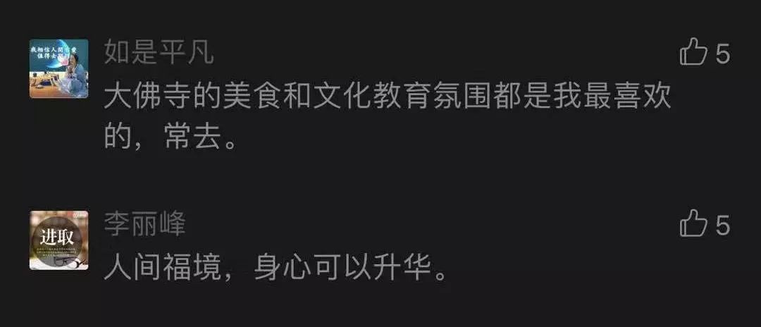禅游札记 | 超出想象!网友眼中的大佛寺 到底“网红”在哪里?