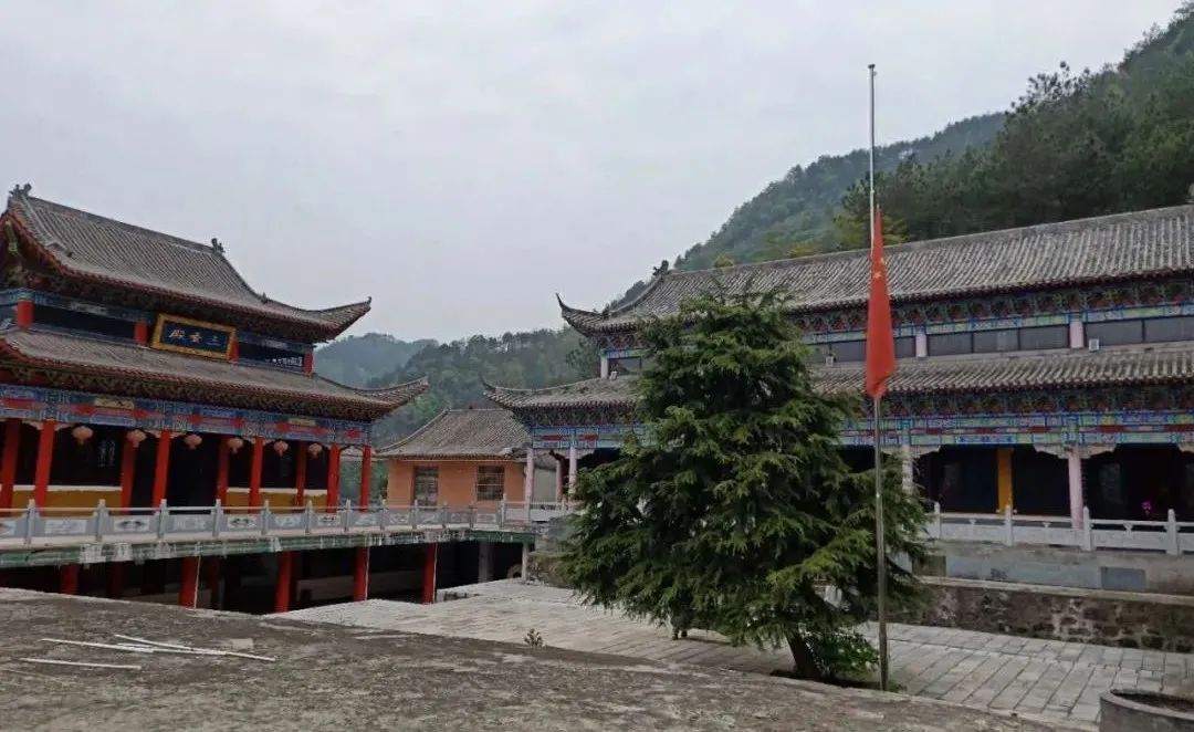 缅怀英烈,悼念同胞 | 湖北省佛教界举行哀悼活动