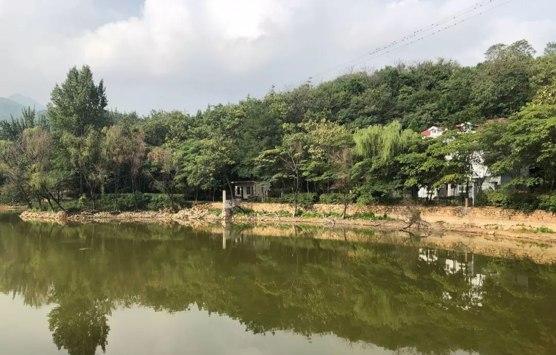 释永旭涉黑,少林寺就应该被黑?