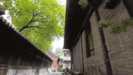 老外花5年在故宫边修复了一座寺庙，不收门票，免费开放