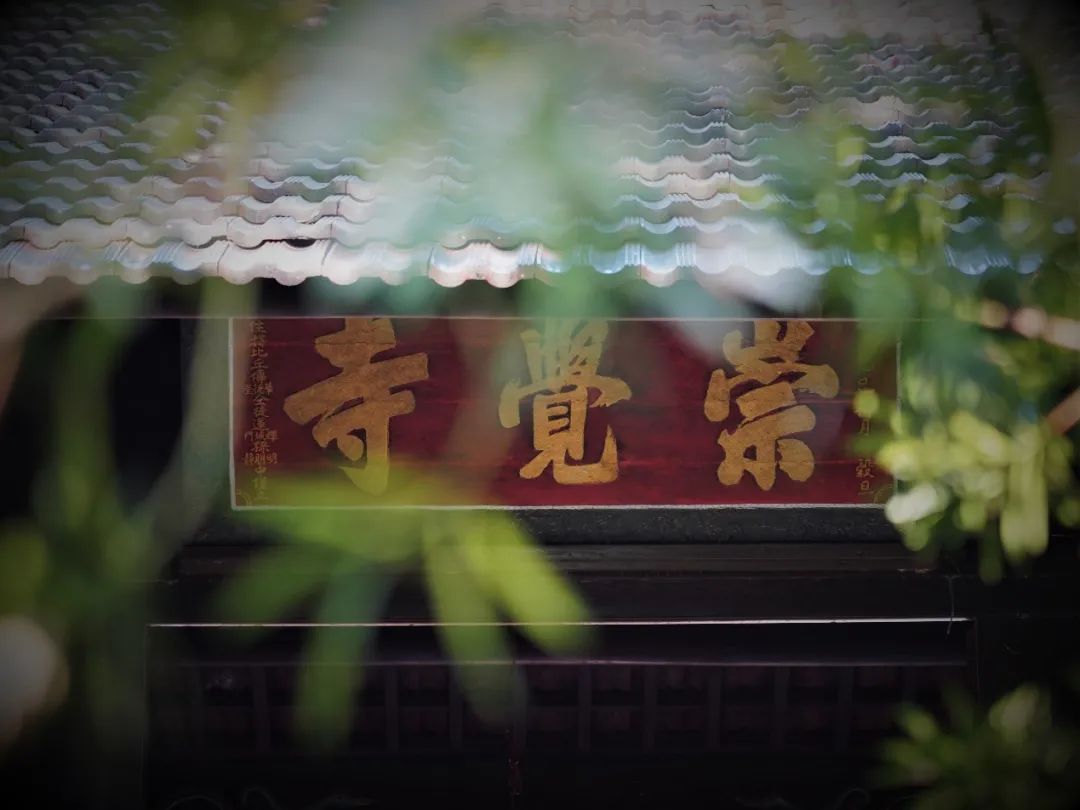 新闻|松阳县桐榔文化康养基地暨浙江松阳崇觉寺扩建项目奠基