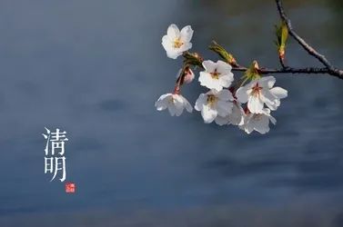 清明的怀念 | 湖北省佛教界哀悼诗文