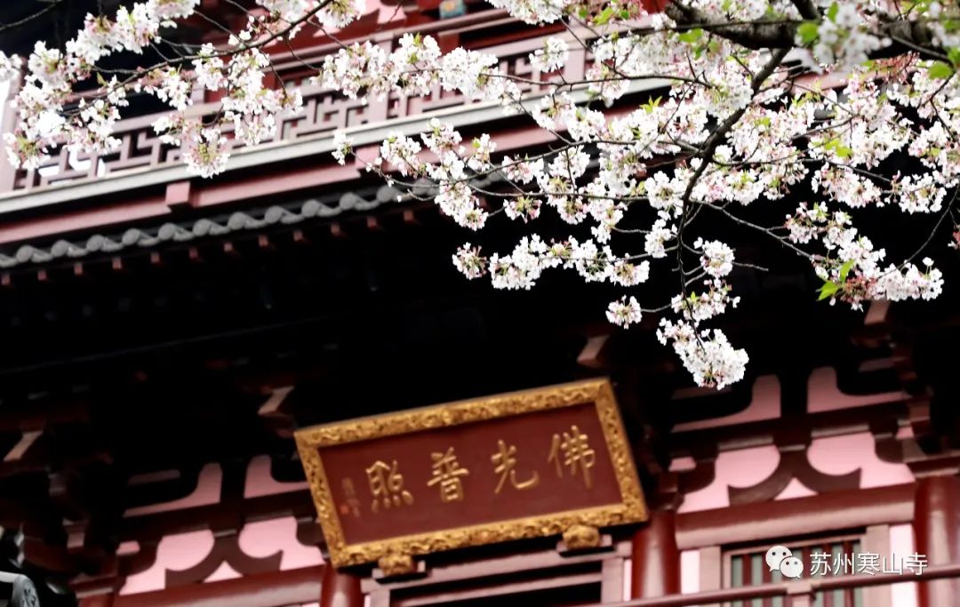 苏州寒山寺发布公告 自2020年6月2日起恢复开放