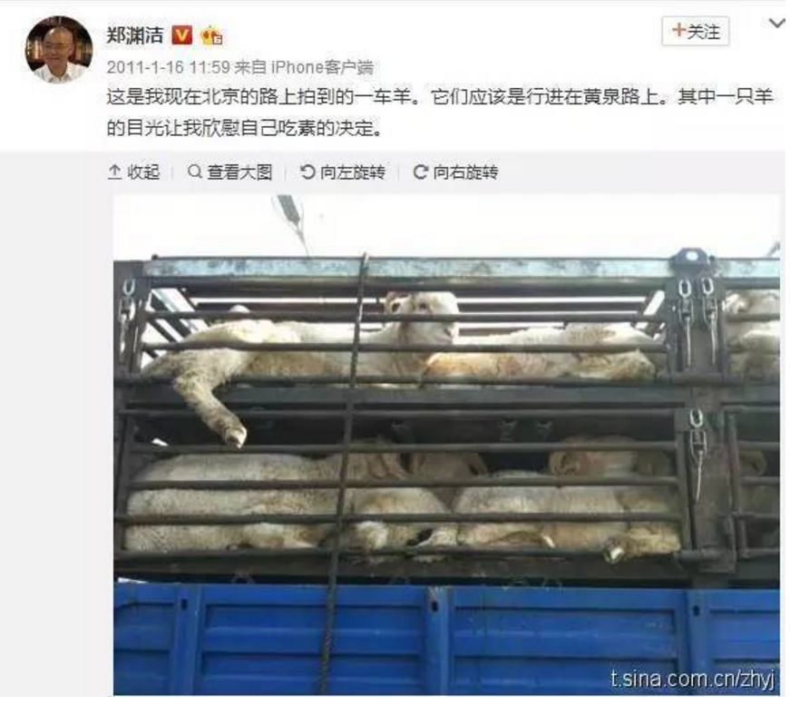 素食、写作、被女王接见,这位童话大王将人生活成了传奇