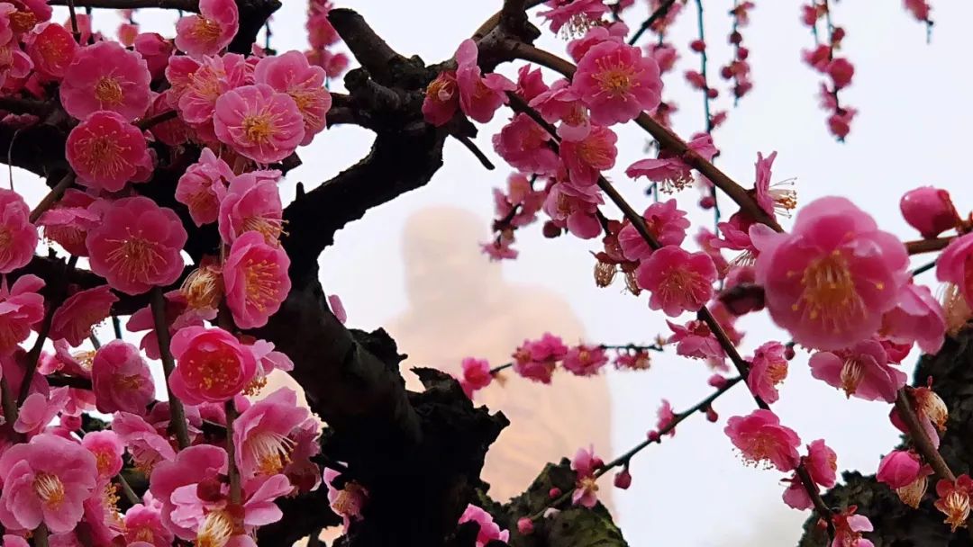 48个镜头——带我们重温2020·雪窦寺