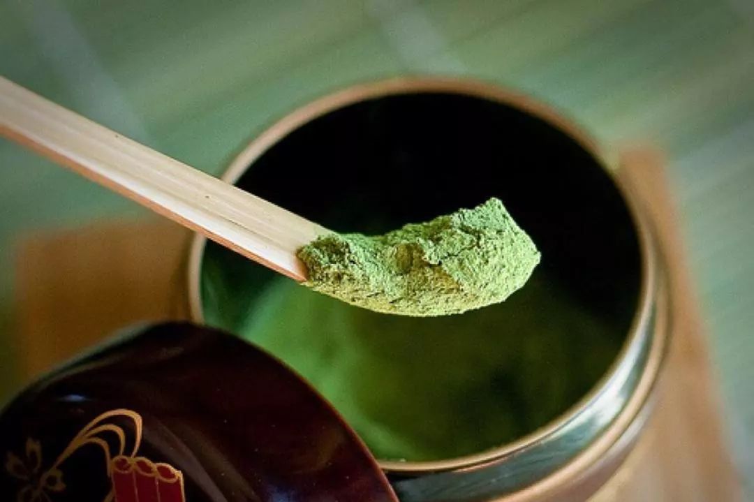 禅游札记 | “禅意”满满的海幢寺,直教人流连忘返!