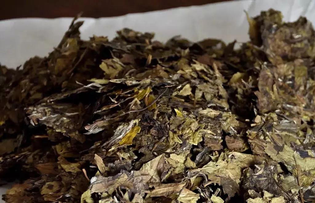 拷问白茶:get 这几招,能解决90%与白茶有关的问题!