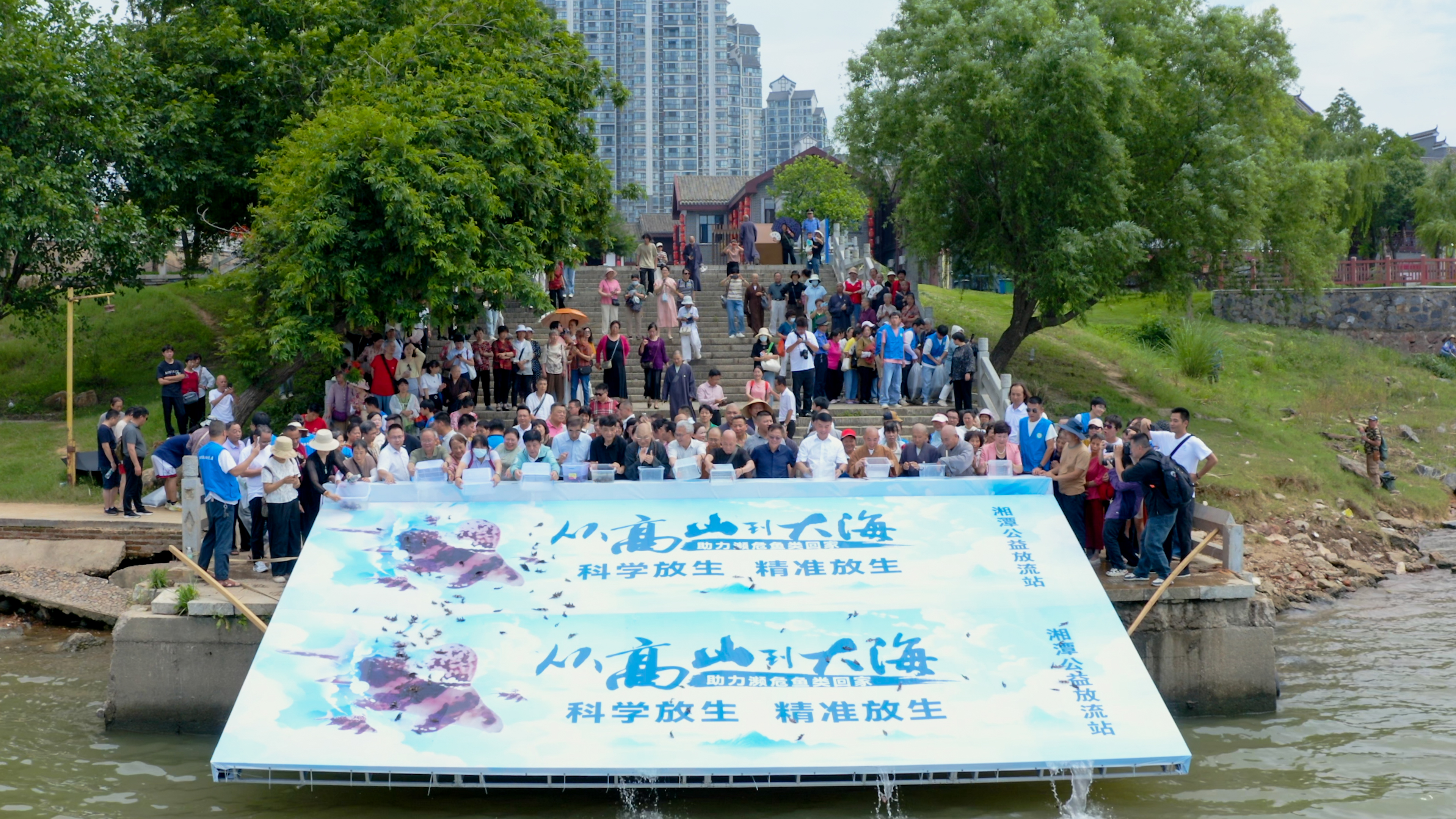 科学放生+法治善行｜圣辉长老出席湖南“6.6全国放鱼日”活动并讲话