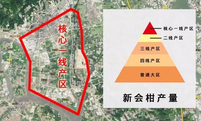 打卡茶产地 | 收陈皮时节到啦！这有你想get的重点