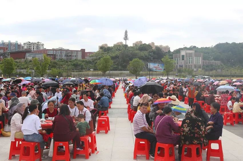 广化动态|第三届南山素食文化节圆满结束