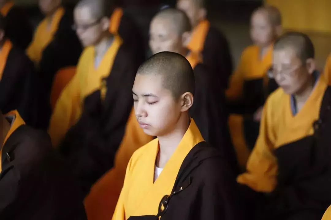 盘点 | 这个国庆,寺院都做了些什么?