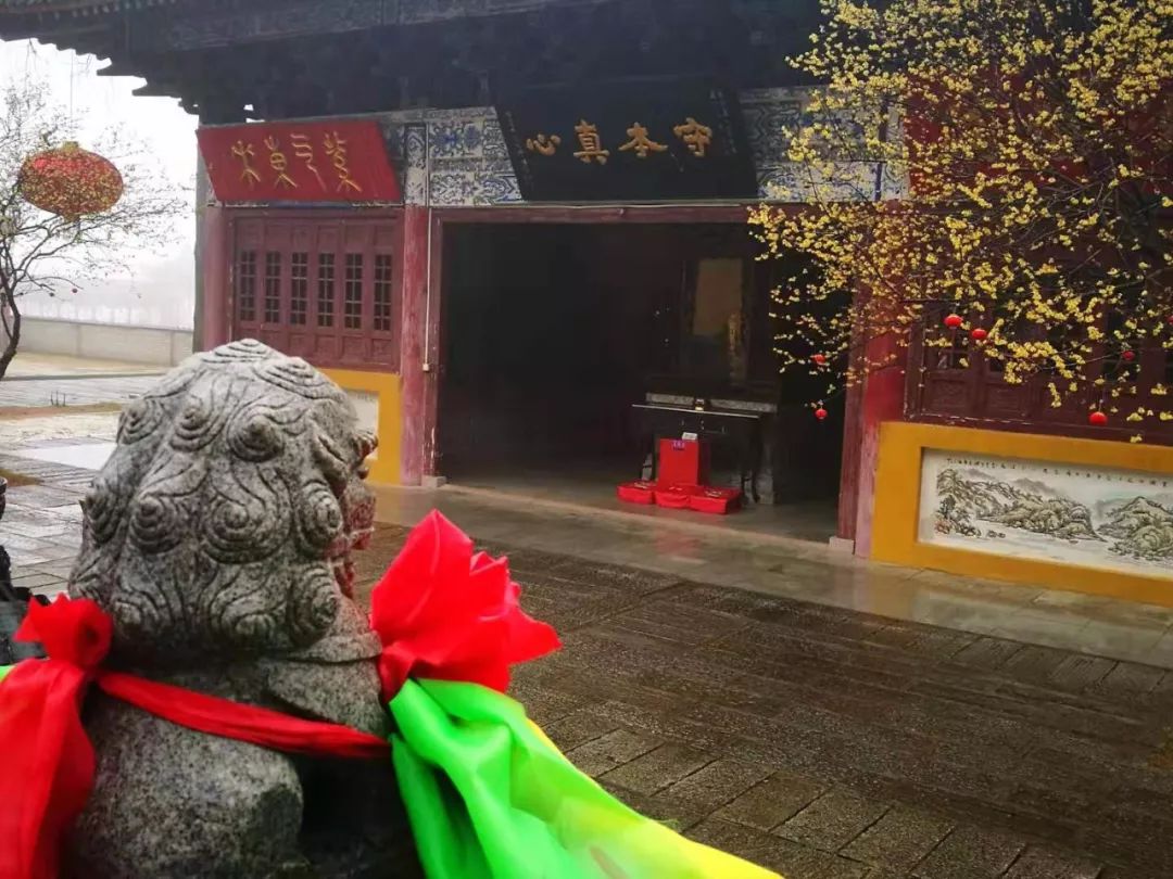 正慈法师“湖北加油”日记（系列四）：我知道你想出去走走（初八初九）