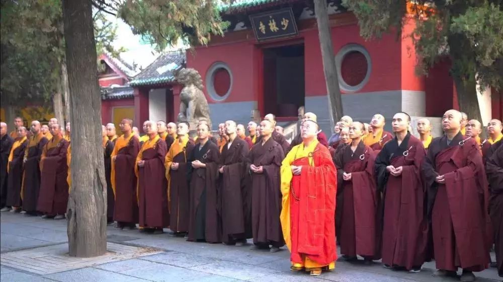 盘点 | 这个国庆,寺院都做了些什么?