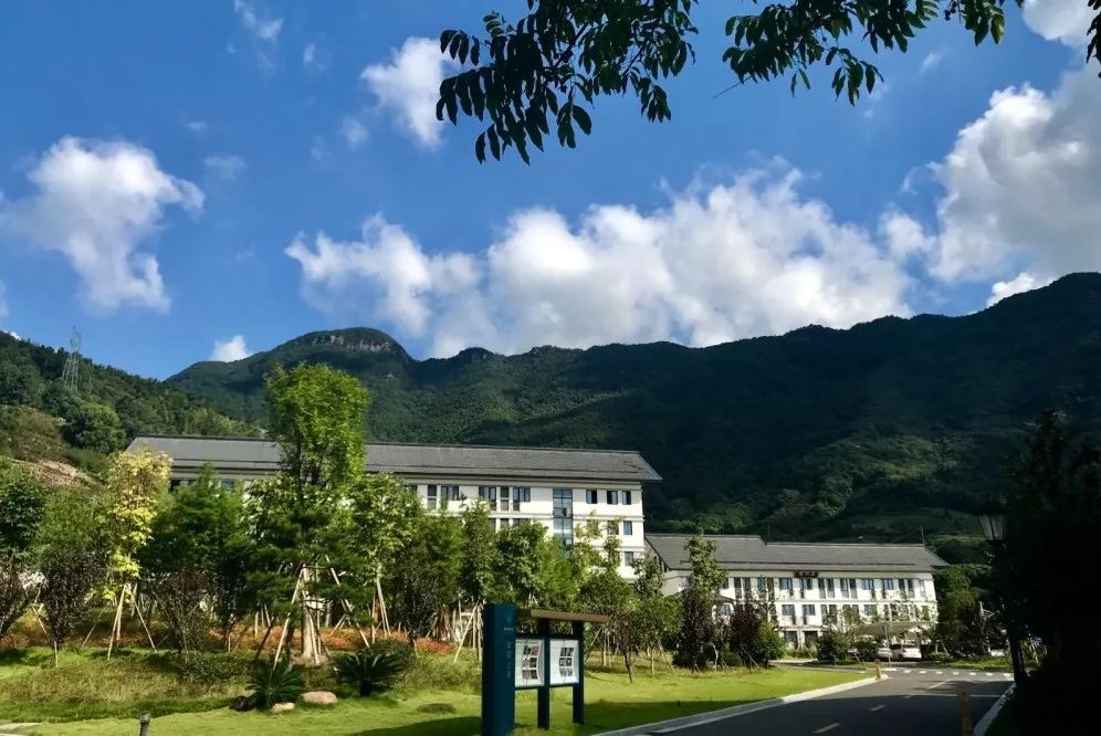 公告广角｜浙江佛学院(总部)2020年秋季招生简章
