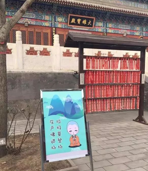 只会烧香拜佛?No!佛门环保方式你知多少?