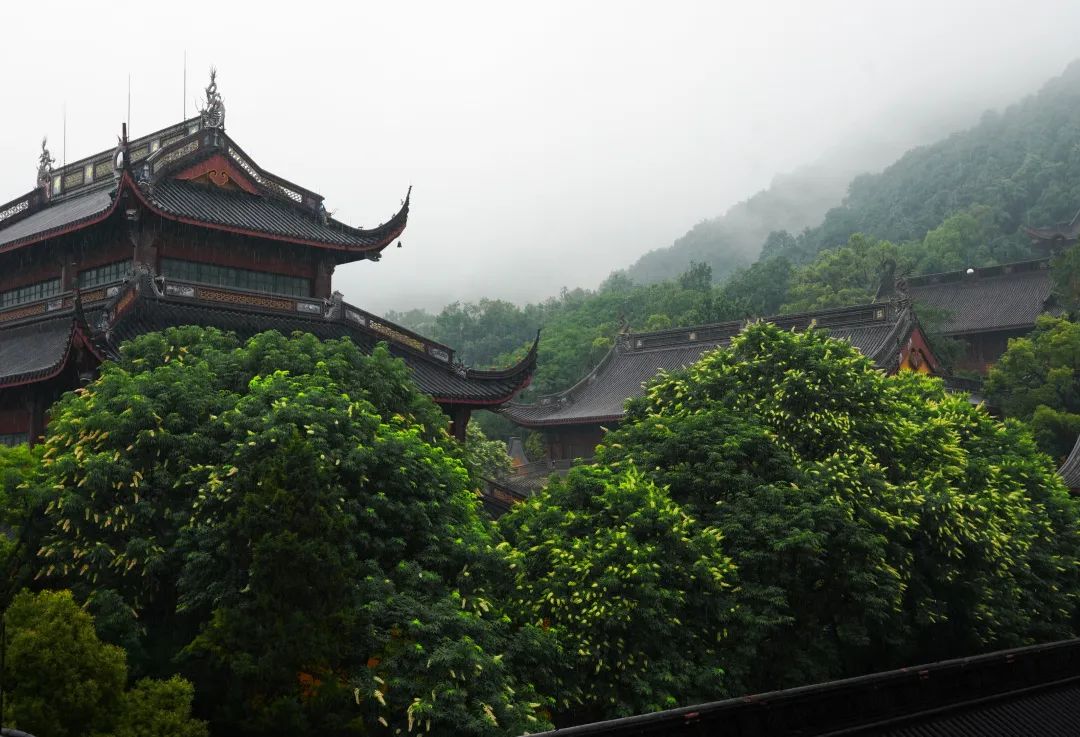 杭州佛教寺院：从紧急双暂停到安全有序开放