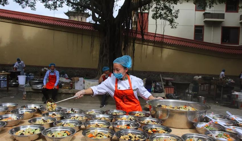 广化动态|第三届南山素食文化节圆满结束