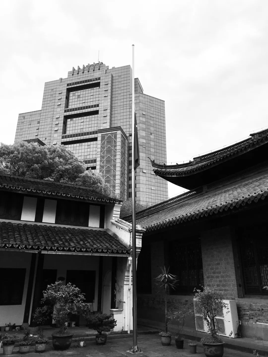 今晨,宁波佛教场所自发响应,降半旗致哀!